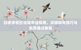 拼多多砍价活动申请指南，详细填写技巧与高效通过秘籍