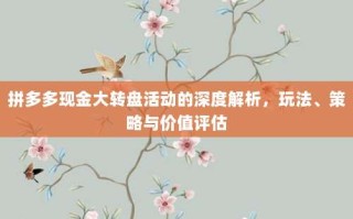 拼多多现金大转盘活动的深度解析，玩法、策略与价值评估