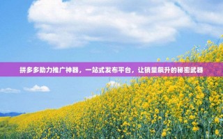 拼多多助力推广神器，一站式发布平台，让销量飙升的秘密武器
