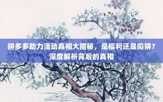 拼多多助力活动真相大揭秘，是福利还是陷阱？深度解析背后的真相