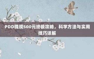 PDD提现500元终极攻略，科学方法与实用技巧详解