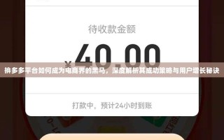 拚多多平台如何成为电商界的黑马，深度解析其成功策略与用户增长秘诀