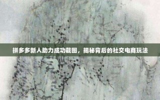 拼多多新人助力成功截图，揭秘背后的社交电商玩法