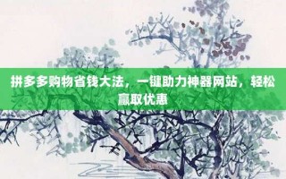 拼多多购物省钱大法，一键助力神器网站，轻松赢取优惠