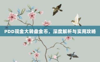 PDD现金大转盘金币，深度解析与实用攻略