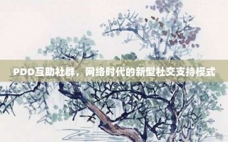 PDD互助社群，网络时代的新型社交支持模式