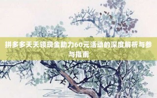 拼多多天天领现金助力60元活动的深度解析与参与指南
