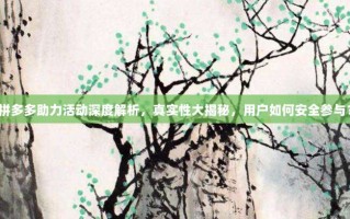 拼多多助力活动深度解析，真实性大揭秘，用户如何安全参与？