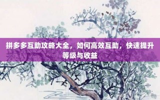 拼多多互助攻略大全，如何高效互助，快速提升等级与收益