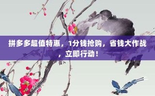 拼多多超值特惠，1分钱抢购，省钱大作战，立即行动！