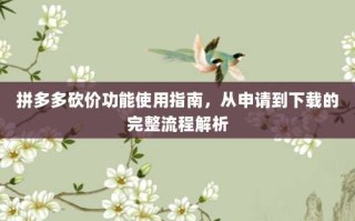 拼多多砍价功能使用指南，从申请到下载的完整流程解析
