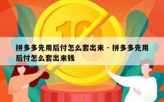 拼多多先用后付怎么套出来 - 拼多多先用后付怎么套出来钱