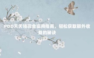 PDD天天领现金实用指南，轻松获取额外收益的秘诀