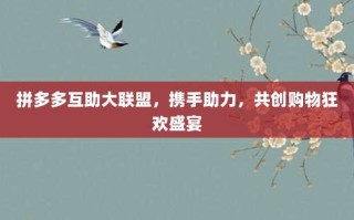 拼多多互助大联盟，携手助力，共创购物狂欢盛宴
