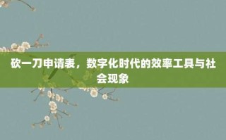 砍一刀申请表，数字化时代的效率工具与社会现象
