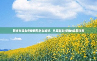 拼多多现金券使用规则全解析，从领取到核销的完整指南