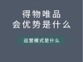 详细解析得物电脑版：品牌背景、界面设计与网购新体验