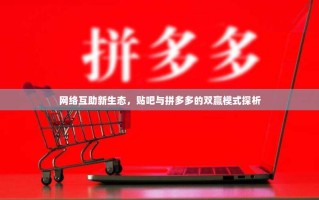 网络互助新生态，贴吧与拼多多的双赢模式探析