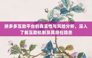 拼多多互助平台的真实性与风险分析，深入了解互助机制及其潜在隐患