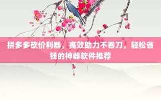 拼多多砍价利器，高效助力不吞刀，轻松省钱的神器软件推荐