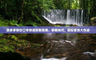 拼多多砍价口令快速获取指南，掌握技巧，轻松省钱大作战