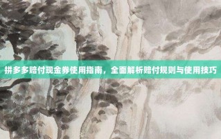 拼多多赔付现金券使用指南，全面解析赔付规则与使用技巧