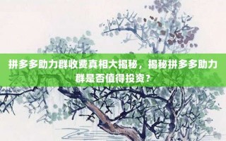 拼多多助力群收费真相大揭秘，揭秘拼多多助力群是否值得投资？