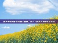 拼多多互助平台真相大揭秘，深入了解其真实性和正规性