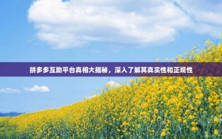 拼多多互助平台真相大揭秘，深入了解其真实性和正规性