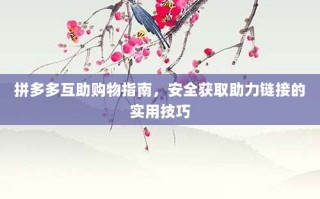 拼多多互助购物指南，安全获取助力链接的实用技巧