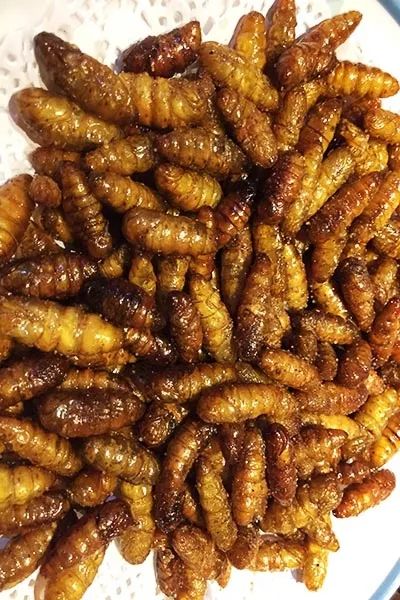 领100元现金 泸州美食探店：精致烤肉与鸡汤，夜宵小龙虾，品质生活新体验-第33张图片-拼多多助力