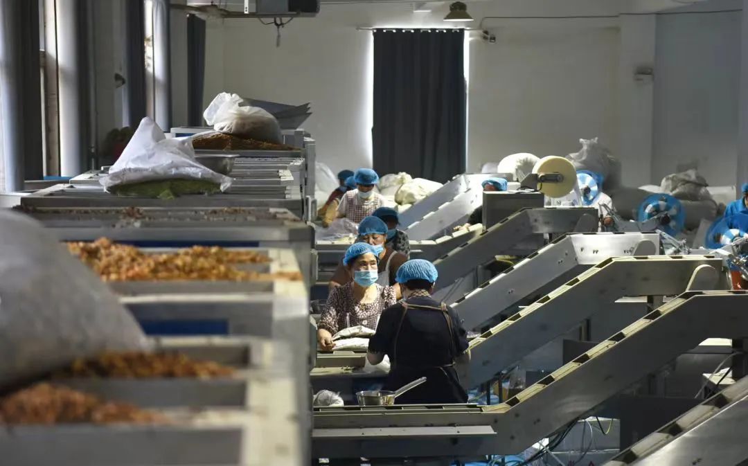拼多多2024年第二季度财报：牺牲短期利润，长期投入的战略解析-第4张图片-拼多多助力