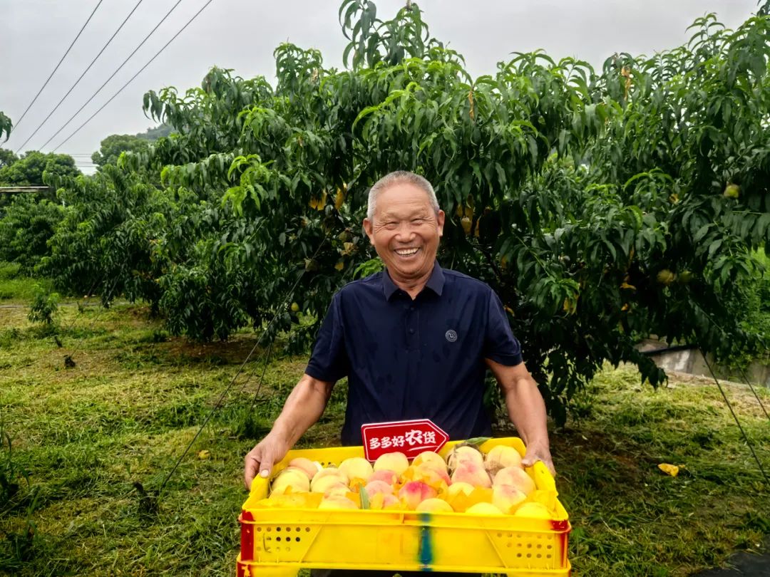 拼多多2024年第二季度财报：牺牲短期利润，长期投入的战略解析-第7张图片-拼多多助力
