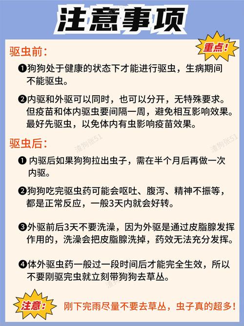 狗狗驱虫须知：一月龄开始，内外驱虫方式及注意事项-第1张图片-拼多多助力