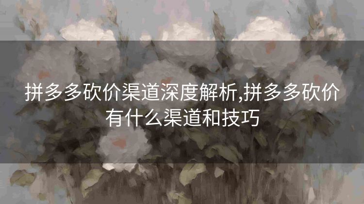 拼多多砍价渠道全解析！官方与社交平台砍价方法大揭秘？-第1张图片-拼多多助力