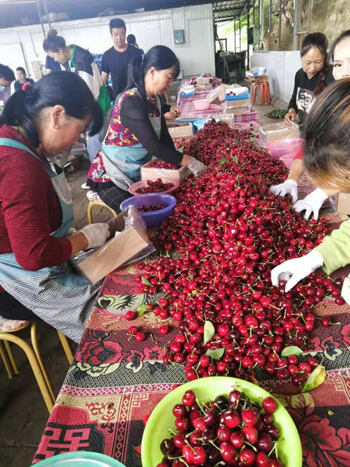 她投身电商助农，拼多多店铺运作精细，销售额超百万-第1张图片-拼多多助力
