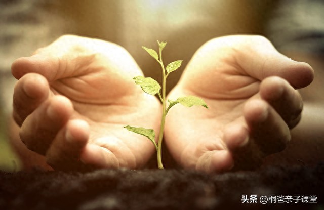 拼多多砍一刀:我的失败经历与从中体会的四个人生真相-第1张图片-拼多多助力
