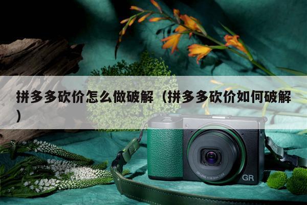 拼多多砍价0.1元破解办法全解析，新用户助力超关键-第1张图片-拼多多助力