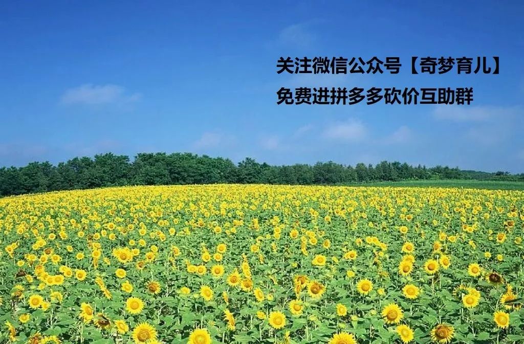 免费拼多多砍价群、微信拼团群互助群，每日更新诚信活跃群-第2张图片-拼多多助力