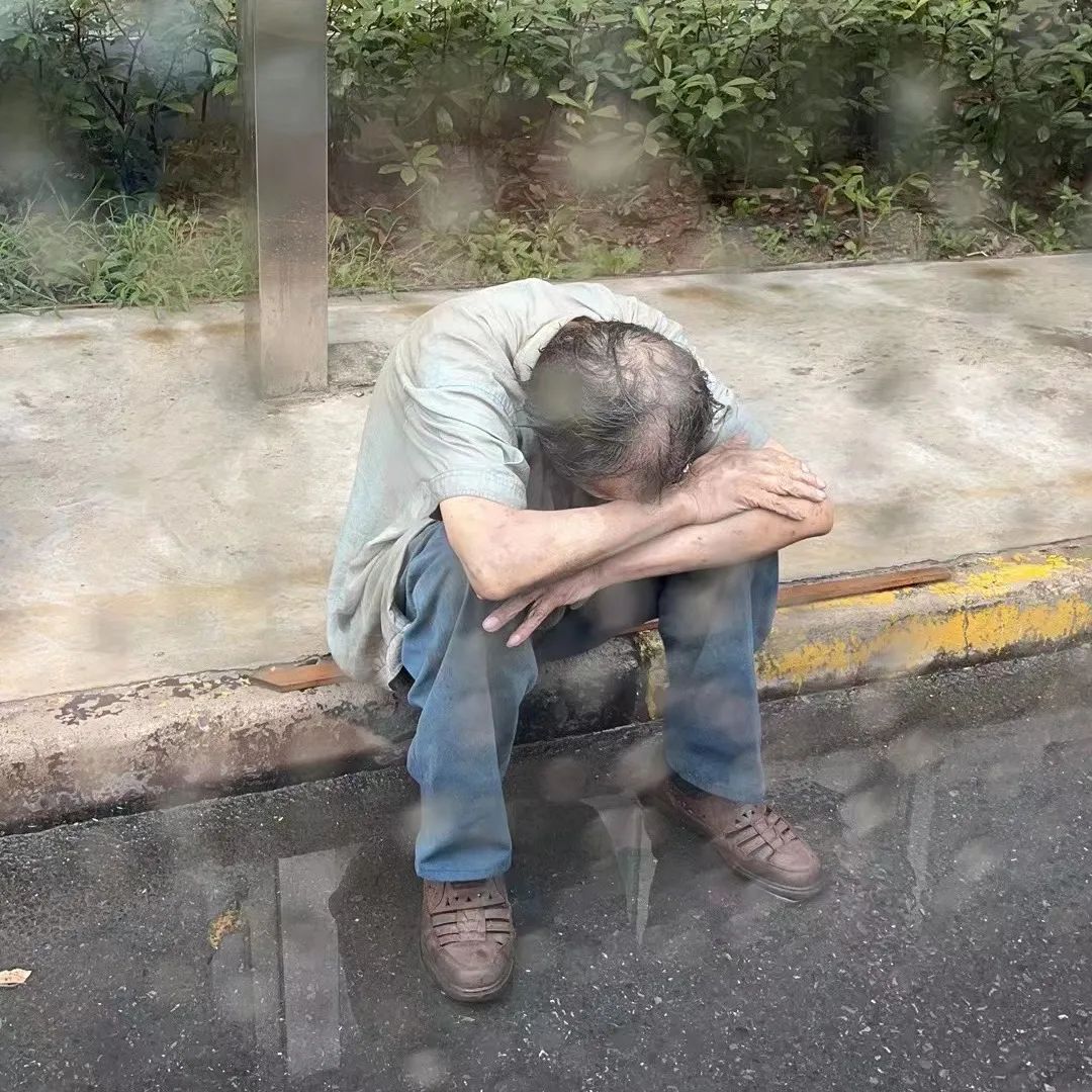 宝山高境镇社区互助：老人雨中迷路，居委暖心救助显真情-第2张图片-拼多多助力