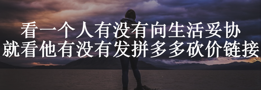 拼多多砍价野路子年赚10万，付费互助群竟藏赚钱密码-第1张图片-拼多多助力