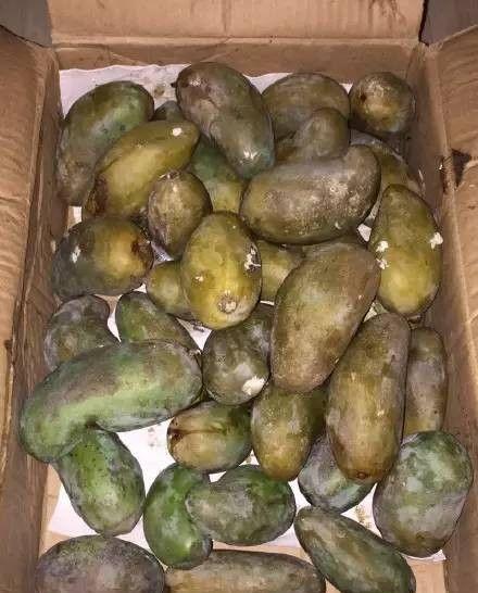 清晨被微信震动吵醒，家庭群因拼多多吵翻天-第37张图片-拼多多助力