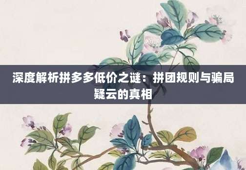 深度解析拼多多低价之谜:拼团规则与骗局疑云的真相-第1张图片-拼多多助力 深度解析拼多多低价之谜:拼团规则与骗局疑云的真相-第1张图片-拼多多助力