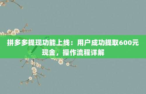 拼多多提现功能上线:用户成功提取600元现金,操作流程详解-第1张图片-拼多多助力 拼多多提现功能上线:用户成功提取600元现金,操作流程详解-第1张图片-拼多多助力