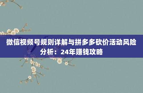 微信视频号规则详解与拼多多砍价活动风险分析:24年赚钱攻略-第1张图片-拼多多助力 微信视频号规则详解与拼多多砍价活动风险分析:24年赚钱攻略-第1张图片-拼多多助力
