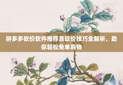 拼多多砍价软件推荐及砍价技巧全解析,助你轻松免单购物-第1张图片-拼多多助力 拼多多砍价软件推荐及砍价技巧全解析,助你轻松免单购物-第1张图片-拼多多助力