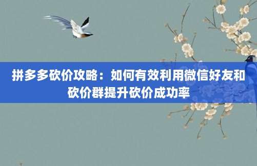 拼多多砍价攻略:如何有效利用微信好友和砍价群提升砍价成功率-第1张图片-拼多多助力 拼多多砍价攻略:如何有效利用微信好友和砍价群提升砍价成功率-第1张图片-拼多多助力