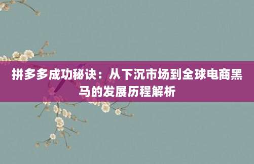 拼多多成功秘诀:从下沉市场到全球电商黑马的发展历程解析-第1张图片-拼多多助力 拼多多成功秘诀:从下沉市场到全球电商黑马的发展历程解析-第1张图片-拼多多助力