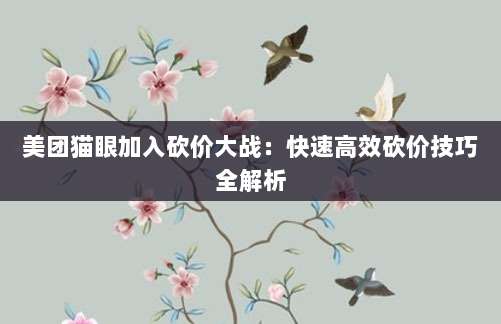 美团猫眼加入砍价大战:快速高效砍价技巧全解析-第1张图片-拼多多助力 美团猫眼加入砍价大战:快速高效砍价技巧全解析-第1张图片-拼多多助力