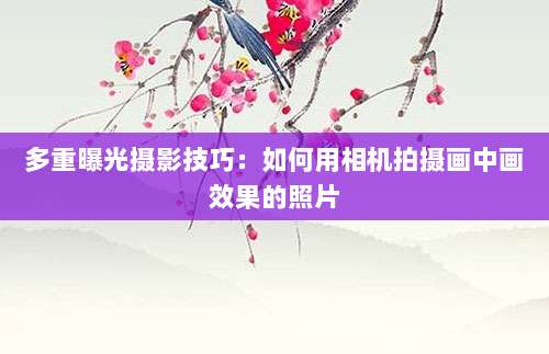多重曝光摄影技巧:如何用相机拍摄画中画效果的照片-第1张图片-拼多多助力 多重曝光摄影技巧:如何用相机拍摄画中画效果的照片-第1张图片-拼多多助力
